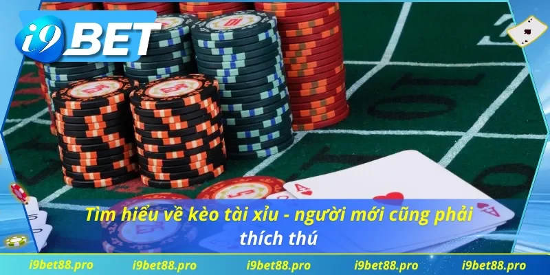 Khám phá về kèo tài xỉu có trong nhà cái I9BET